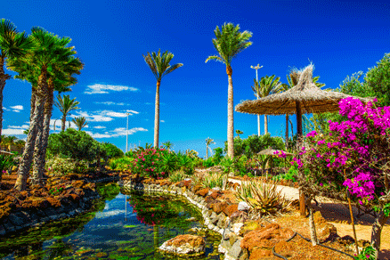heldere blauwe lucht, palmbomen, roze bloemen op een zomerse dag